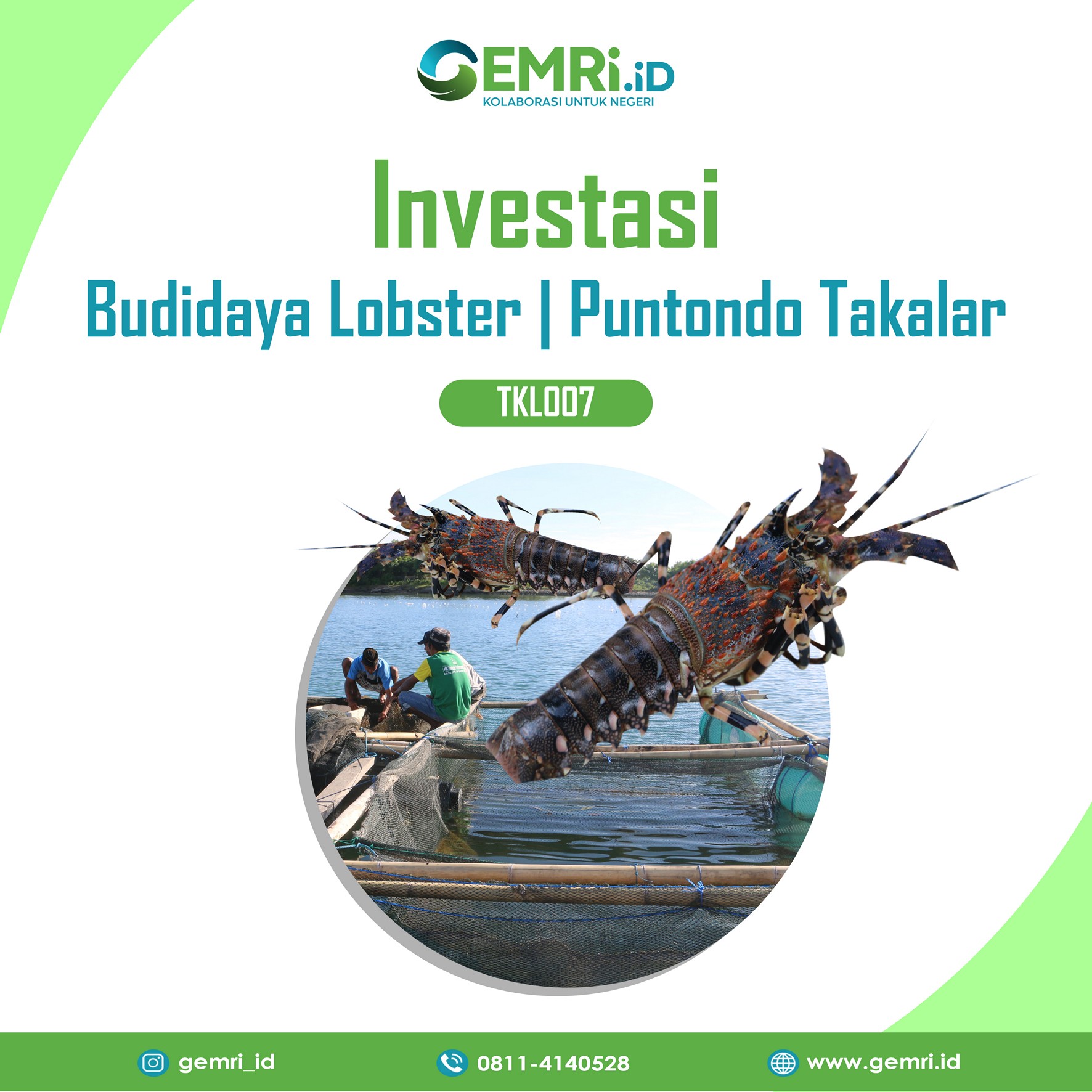 Permodaalan Budidaya Lobster